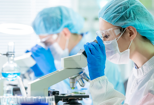 エコジュール　顕微鏡